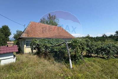 Casa cu teren De Vanzare in Ariesul de Padure - 4
