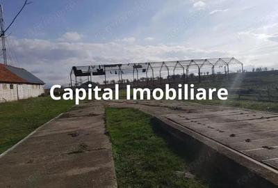 Ferma langa Oravita 5600 mp construiti si teren 24281 intravilan - 9