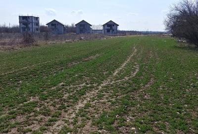 Teren în Măgurele - 4