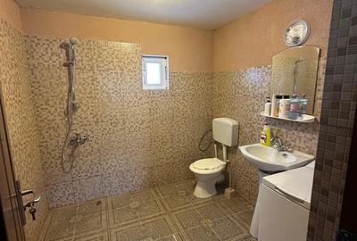 Casă cu 4 camere cu Teren 19200 Mp în Central - 13