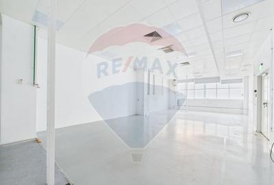 Spatiu multifunctional de birouri si productie langa Kaufland Vitan Spatiu multifunctional de birouri si productie langa Kaufland Vitan - 12