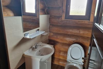 Casa modernizată în 2024 din bușteni de brad Casa modernizată în 2024 din bușteni de brad - 8