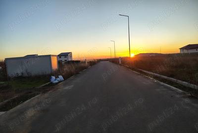 Casa 3 camere Conuna Berceni - 2