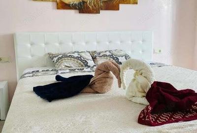 Apartament cu 2 camere decomandat în 15 Noiembrie - 3