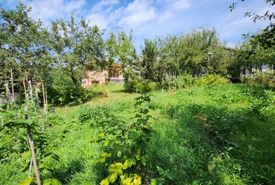 Teren intravilan, 1195mp, utilitati, la liziera padurii, parau, Faget Teren intravilan, 1195mp, utilitati, la liziera padurii, parau, Faget - 4