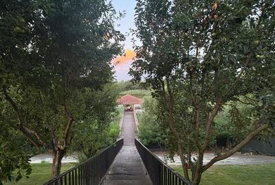 Casă cu 4 camere în Central - 7