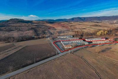 De vanzare spatii de productie si depozitare (hale),Sat Gheghie-Bihor - 6