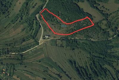 Teren de 18527 mp, în Cerbăl - 5
