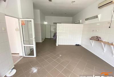 Hale de inchiriat diferite suprafete - 1