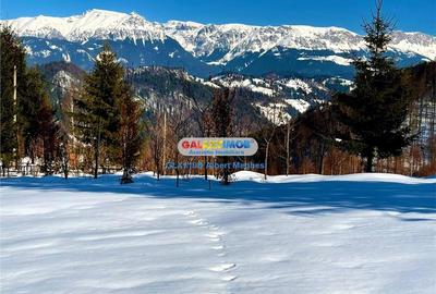 Teren intravilan de 10818 mp, în Moieciu de Jos - 2