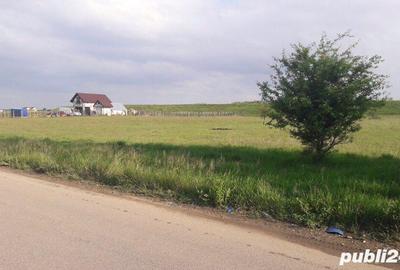 Teren de 7453 mp, în Clinceni - 2