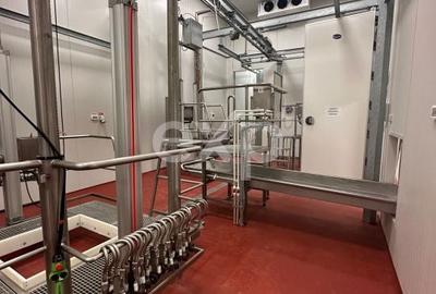 Teren de 105000 mp, în Singureni - 4