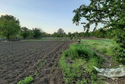 Teren de 4000 mp, în Măgureni