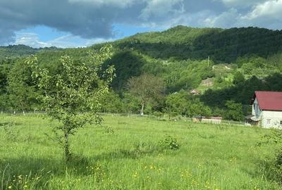 Teren de 2600 mp, în Vișeu de Sus