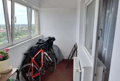 Apartament cu 2 camere decomandat în Valea Ialomiței - 8