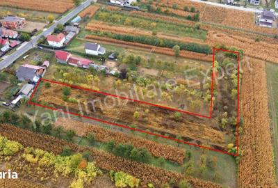 Teren de 4000 mp, în Corbeni