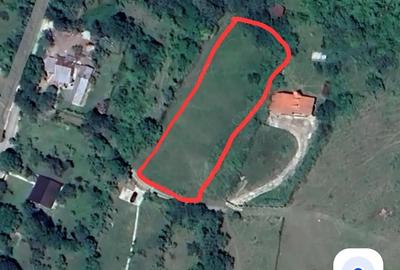 Teren de 2727 mp, în Provița de Jos - 1