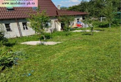 Teren intravilan de 550 mp, în Nistorești