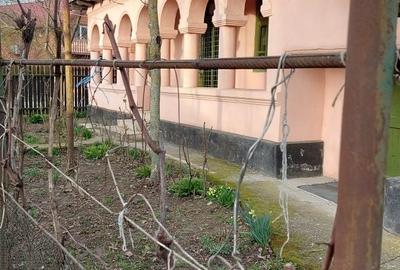 Casă cu 3 camere în Necșești