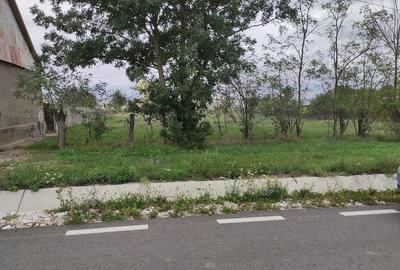 Teren de 1460 mp, în Măureni - 10