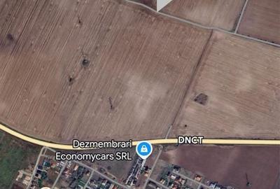 Teren de 26000 mp, în Sânandrei - 1
