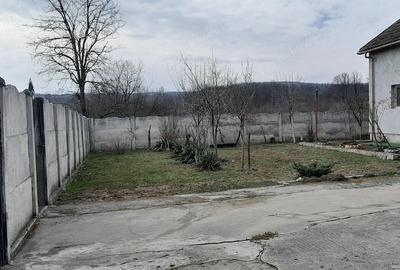 Casă cu Teren 11000 Mp în Pluta - 7