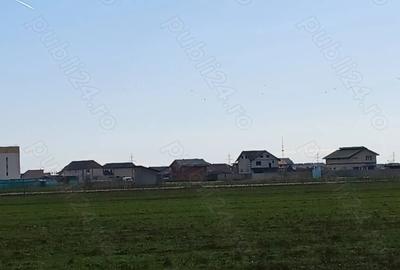 Teren de 300 mp, în Berceni - 5