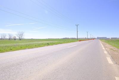 Teren Construcții intravilan de 65000 mp, în Dascălu - 2