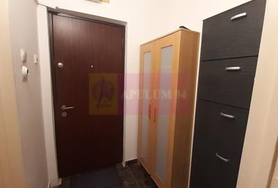 Garsonieră semidecomandată, mobilată în Dristor - 7