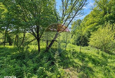 Teren de 8300 mp, în Mărgineni