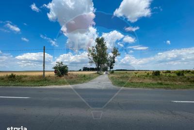 Teren de 4350 mp, în Vasilați