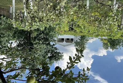 Casă cu Teren 600 Mp în Central