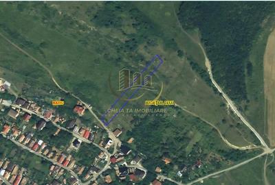 Teren de 2900 mp, în Baciu