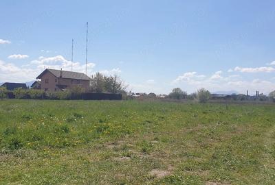 Teren de 1000 mp, în Colonia Bod - 3