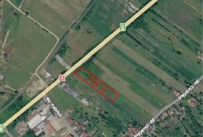 Teren de 3938 mp, în Cicârlău - 1