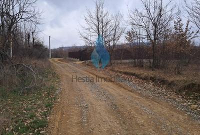 Teren Construcții intravilan de 1644 mp, în Bârnova - 4