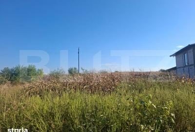 Teren de 5000 mp, în Văcărești
