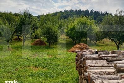 Casă cu 3 camere cu Teren 1500 Mp în Dobârlău - 8