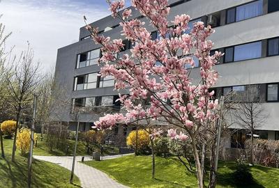 Apartament cu 3 camere semidecomandat în Străulești - 35