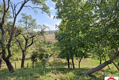 Casă cu 3 camere în Cuța