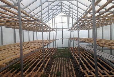 Teren Construcții intravilan de 15277 mp, în Ierbuș - 14