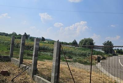 Teren de 600 mp, în Sărata - 5