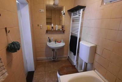 Garsonieră decomandată în Gura Văii - 1