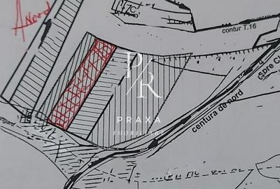 Teren Construcții intravilan de 3000 mp, în Florești - 1