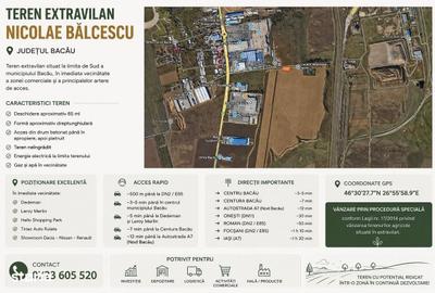 Spațiu comercial, în Nicolae Bălcescu