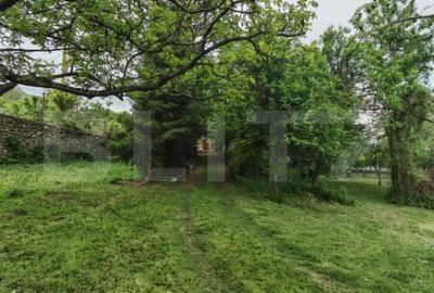 Teren de 14000 mp, în Cheia - 3