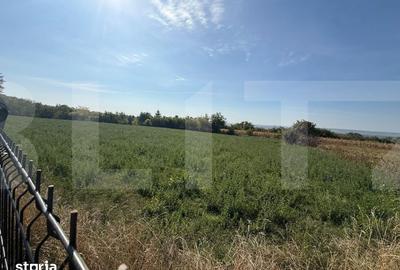 Teren de 3600 mp, în Central