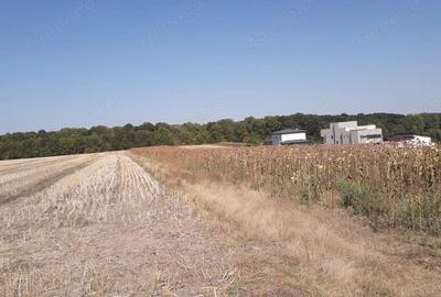 Teren de 5800 mp, în Moara Vlăsiei