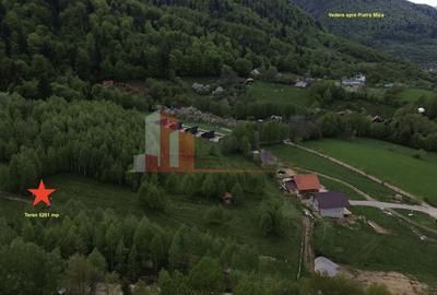 Teren Construcții intravilan de 5261 mp, în Tohănița - 6