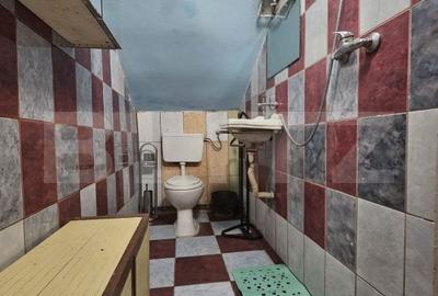 Apartament cu 3 camere în Iosefin